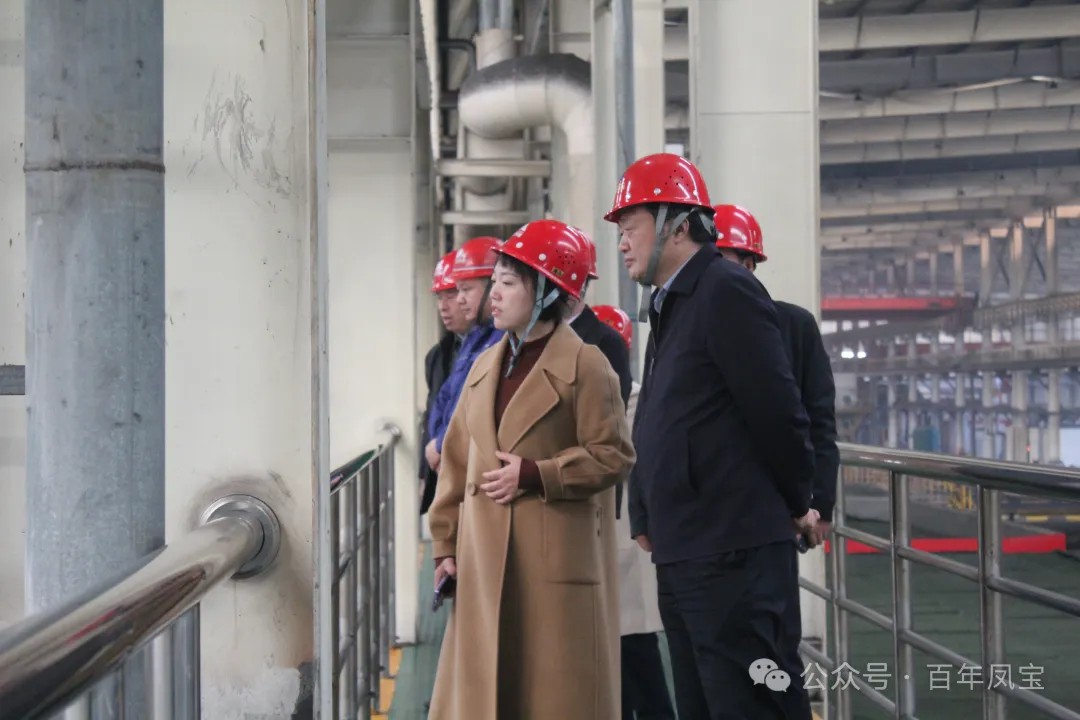 陈佳到开云官方网页-开云（中国）
调研